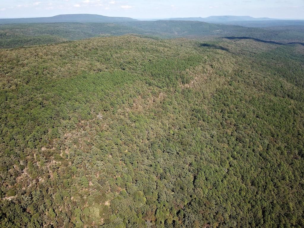 Unk Barber Ridge Rd., Havana, AR 72842 MLS Logan 400 Land and Farm