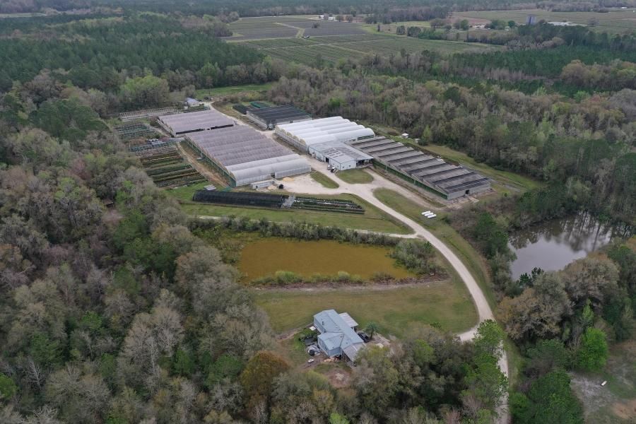 60 Acres, 11713 NE State Road 26, Gainesville, FL 32641 Land and Farm