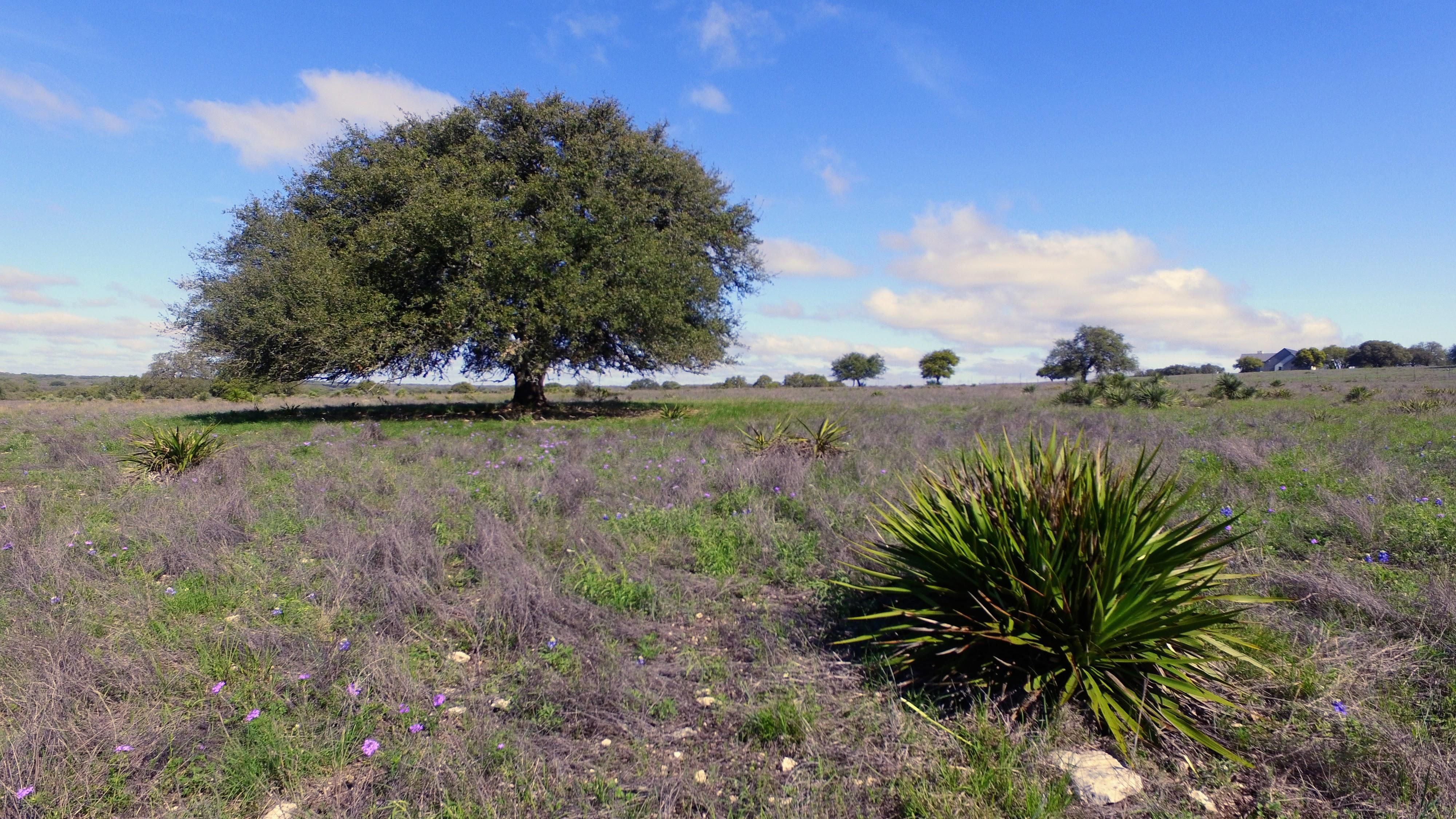 25 Acres, Harper, TX 78631 Land and Farm