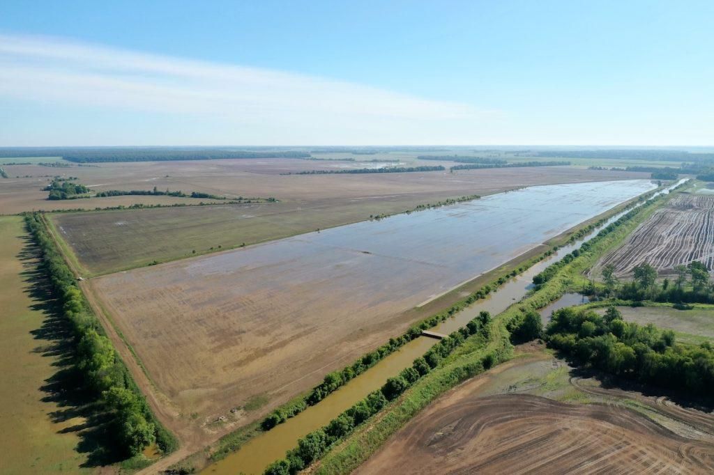 210 Acres, Alicia, AR Land and Farm