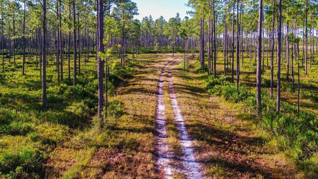 2,000 acres in Callahan, FL, 32011 Land and Farm