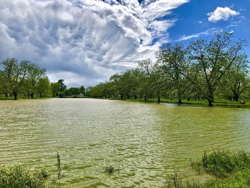 1,655 Acres, 208 Little Eva Plantation Road, Cloutierville, LA 71416