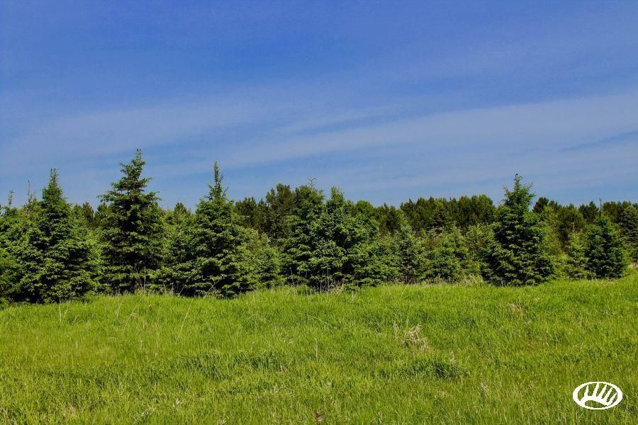 40 Acres, Fairview Road, Lot WP001, Moose Lake, MN 55767 Land and Farm