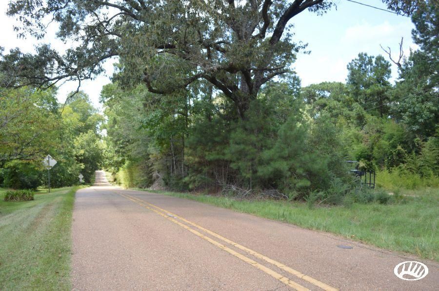 126 Acres, Hwy 126, LotWP01, Sikes, LA 71473 Land and Farm