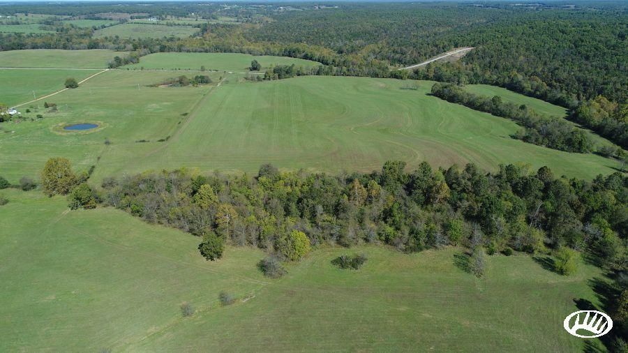 300 Acres, Hackberry Road, Lot WP001, Buffalo, MO 65622 Land and Farm