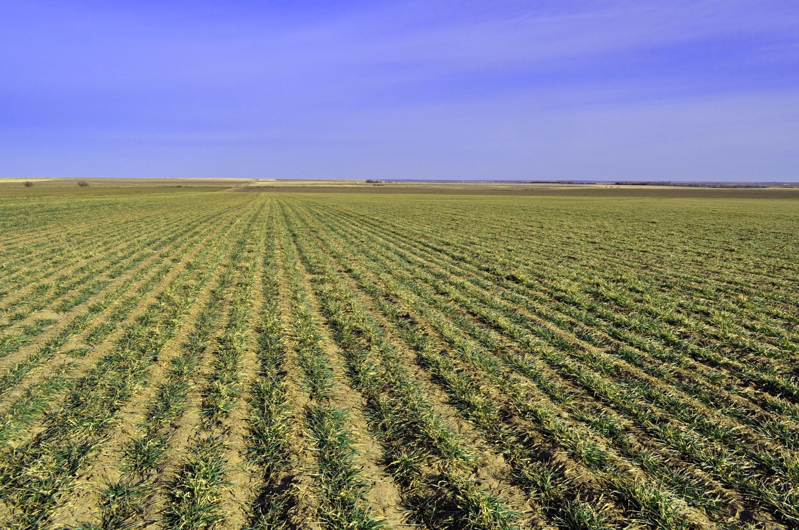 160 Acres, 225 Road, LotWP002, Hanston, KS 67849 Land and Farm