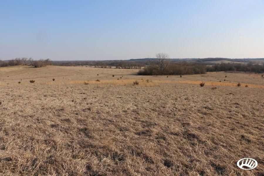 120 Acres, CR 120, Lot WP001, Braymer, MO 64624 Land and Farm