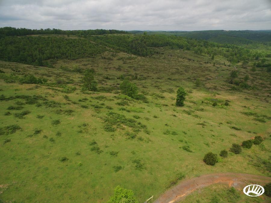 300 Acres, Rex Road, Lot WP001, Alread, AR 72031 Land and Farm