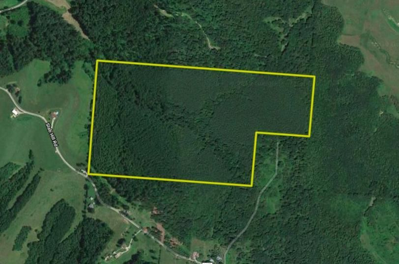 Slab Hill Road, Oak Hill, OH 45656 Land and Farm