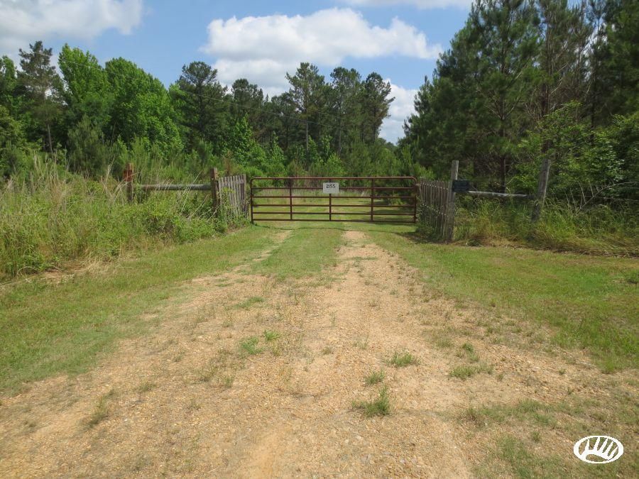 Ebenezer Pickens Road, LotWP01, Ebenezer, MS 39146 Land and Farm