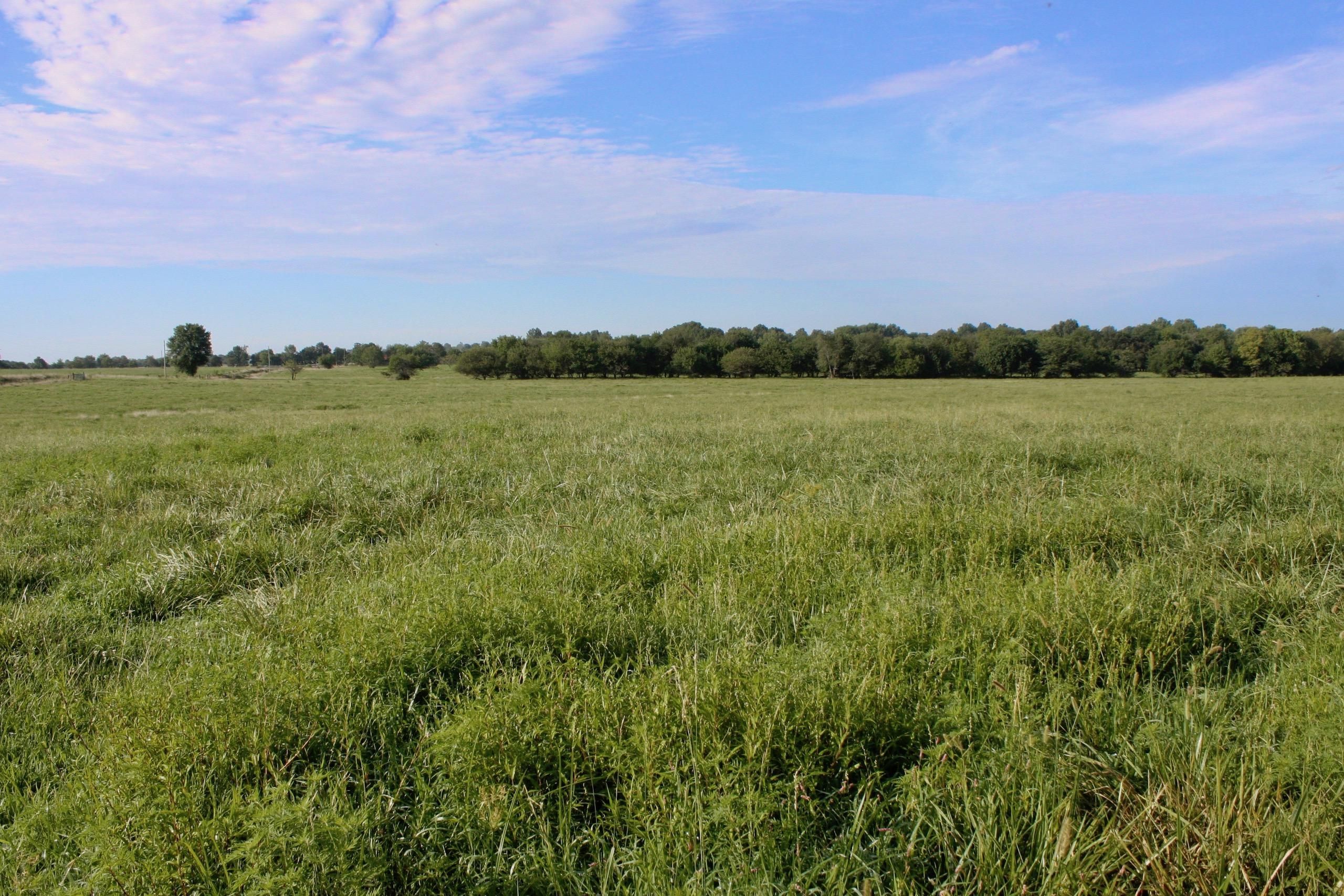 109 NE 100 Lane, Lot 3WP001, Lamar, MO 64759 Land and Farm