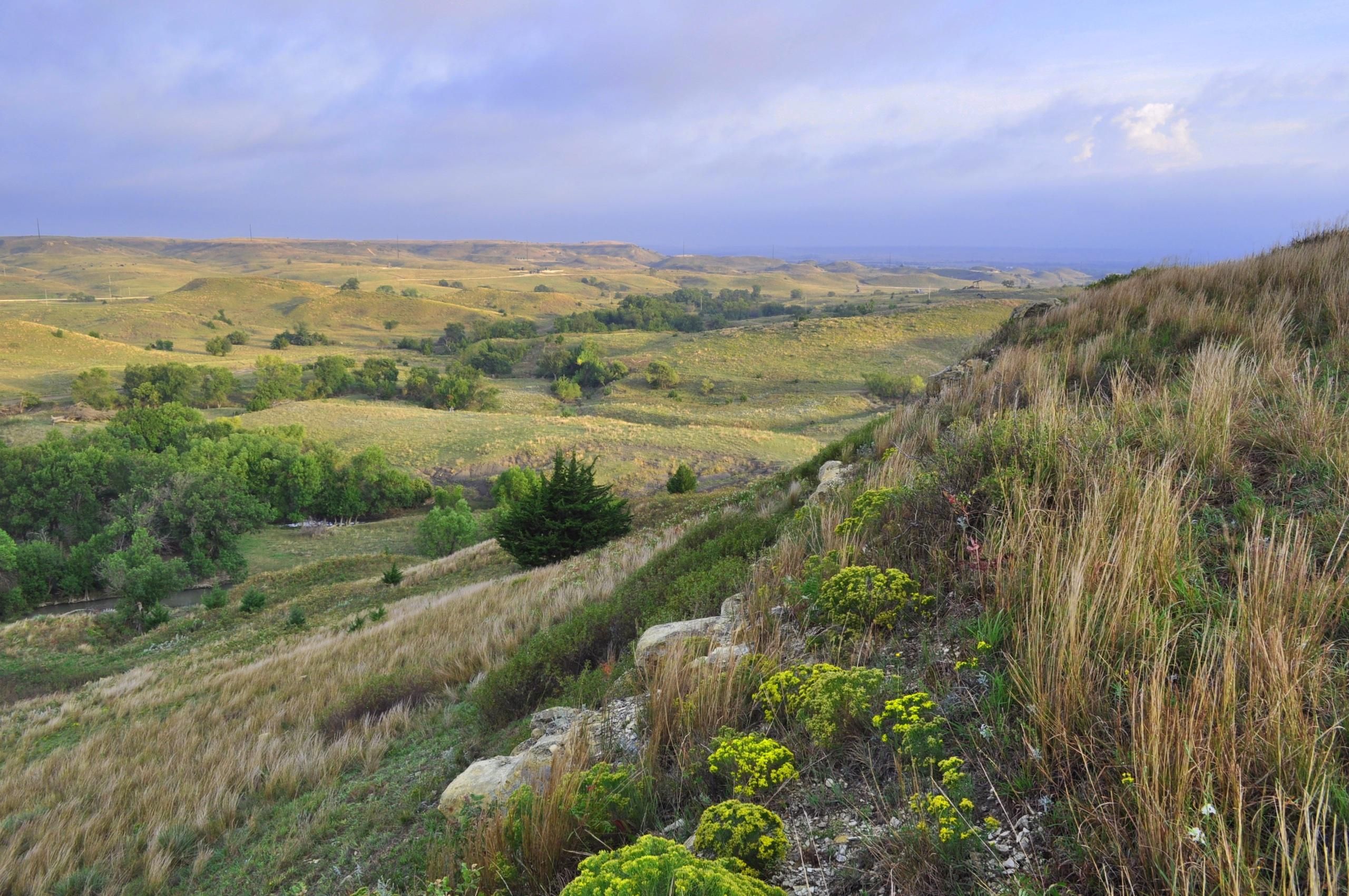 4,960 Acres, 2150 A Saline River Road, Lot WP001, Hays, KS 67601
