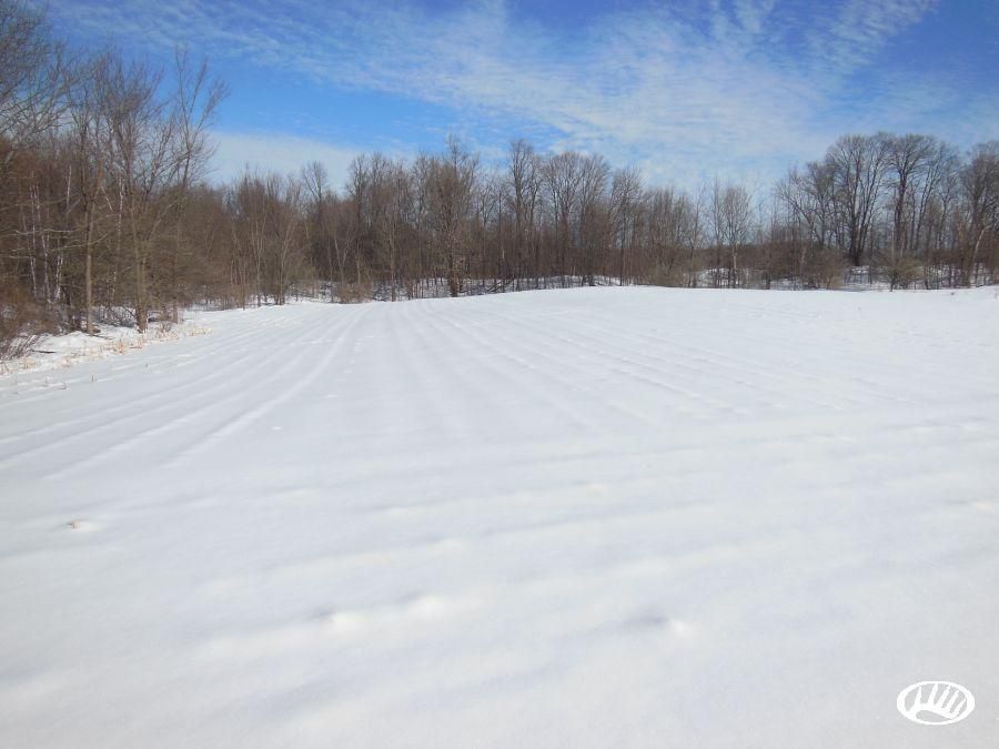 80 Acres, Helf Road, LotWP01, Ringle, WI 54471 Land and Farm