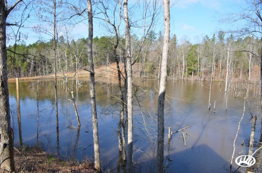 56 Weathersby Lane, New Hebron, MS 39140 Land and Farm