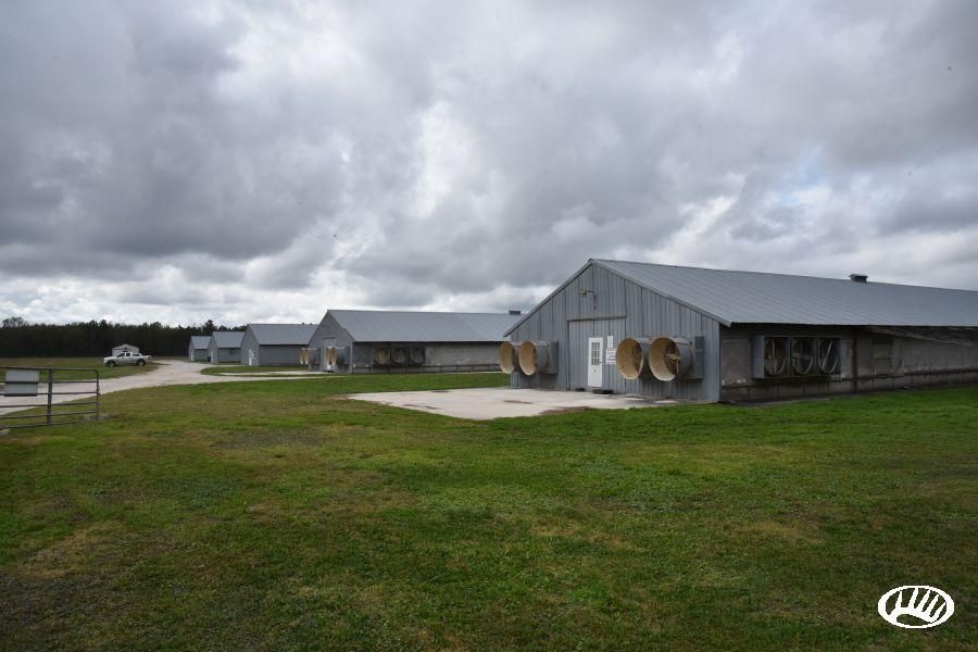 49 Acres, 12151 Bardin Road, Palatka, FL 32177 Land and Farm