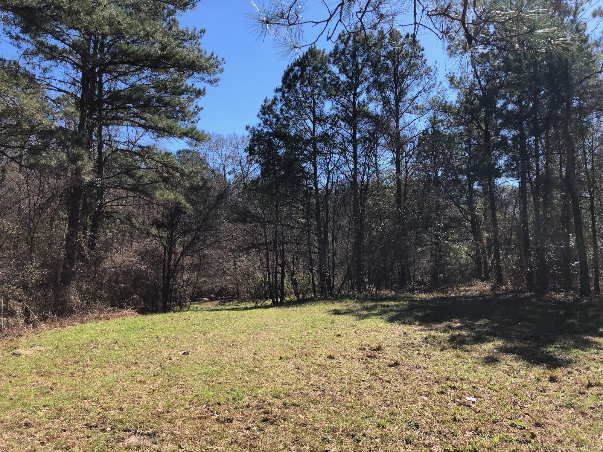 595 Acres, 482 Phares Lane, Roxie, MS 39661 Land and Farm