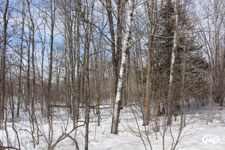 40 Acres, Osprey Ave., LotWP001, Swatara, MN 55785 Land and Farm