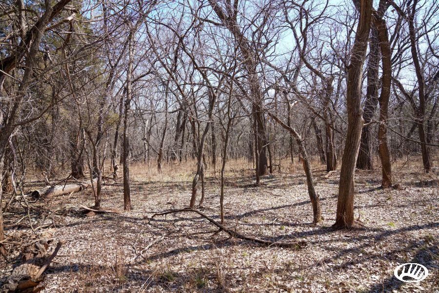 Mill Road, Lot WP001, Medicine Lodge, KS 57104 Land and Farm