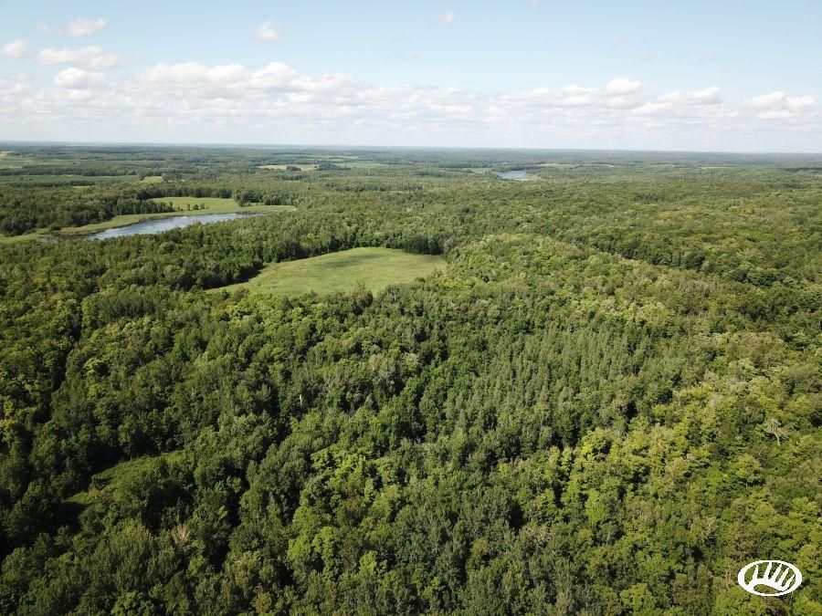 80 Acres, 290th Street, Waubun, MN 56589 Land and Farm