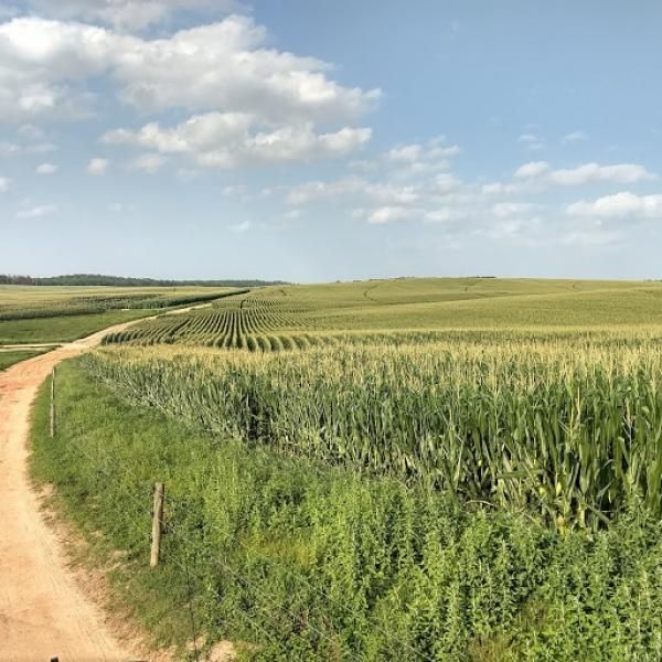 Shell Bluff Landing Road, Waynesboro, GA 30830 Land and Farm