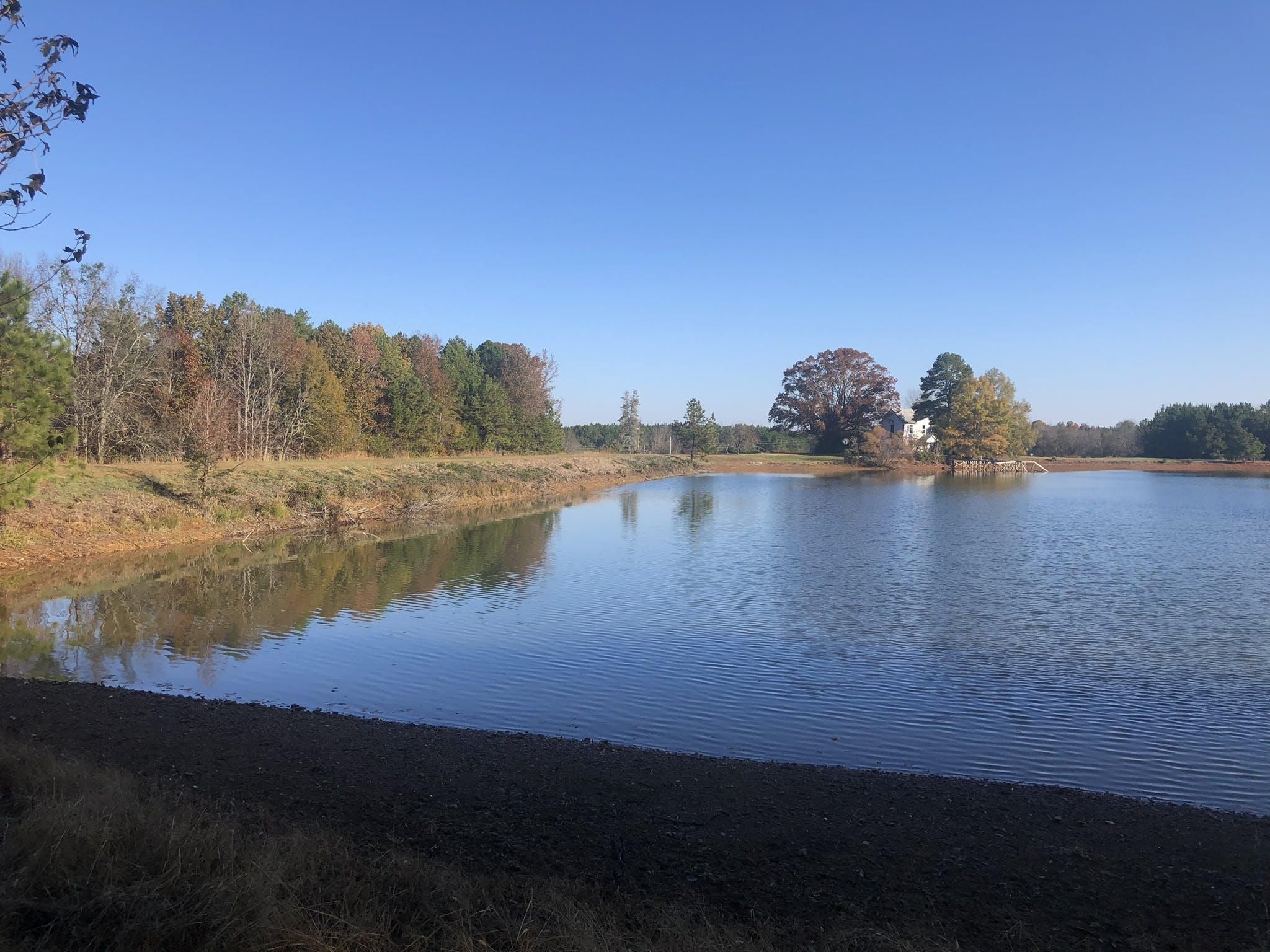 130 acres in Richfield, NC, Land and Farm