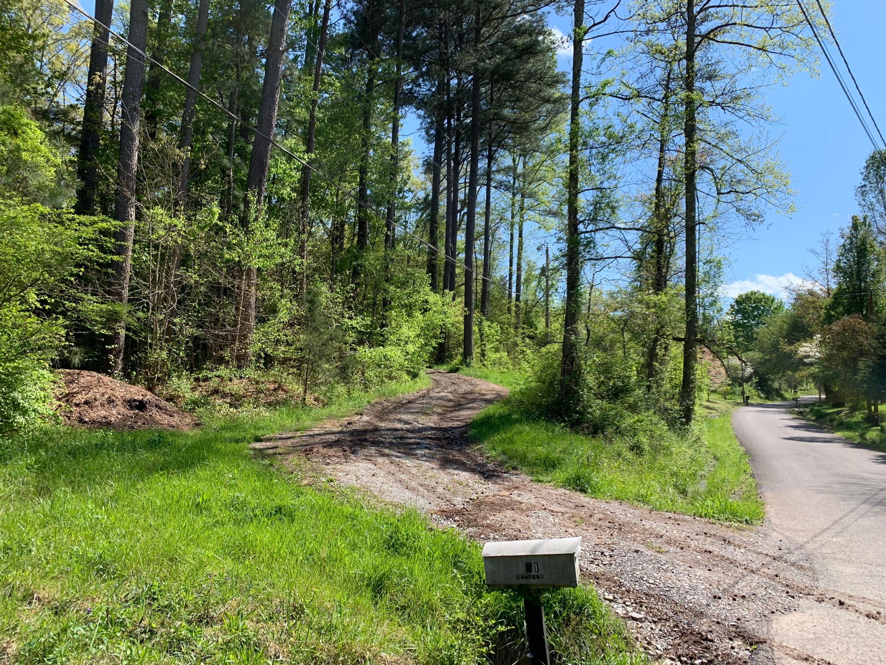 22.24 Acres, Foust Hollow Rd, Heiskell, TN 37754 Land and Farm