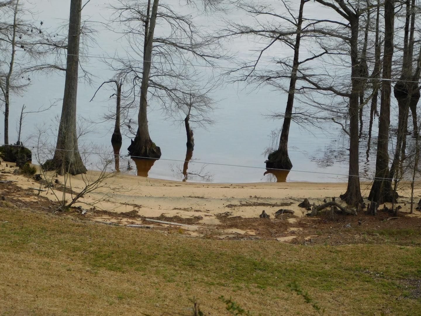 131 River Lane, Merry Hill, NC 27957 Land and Farm