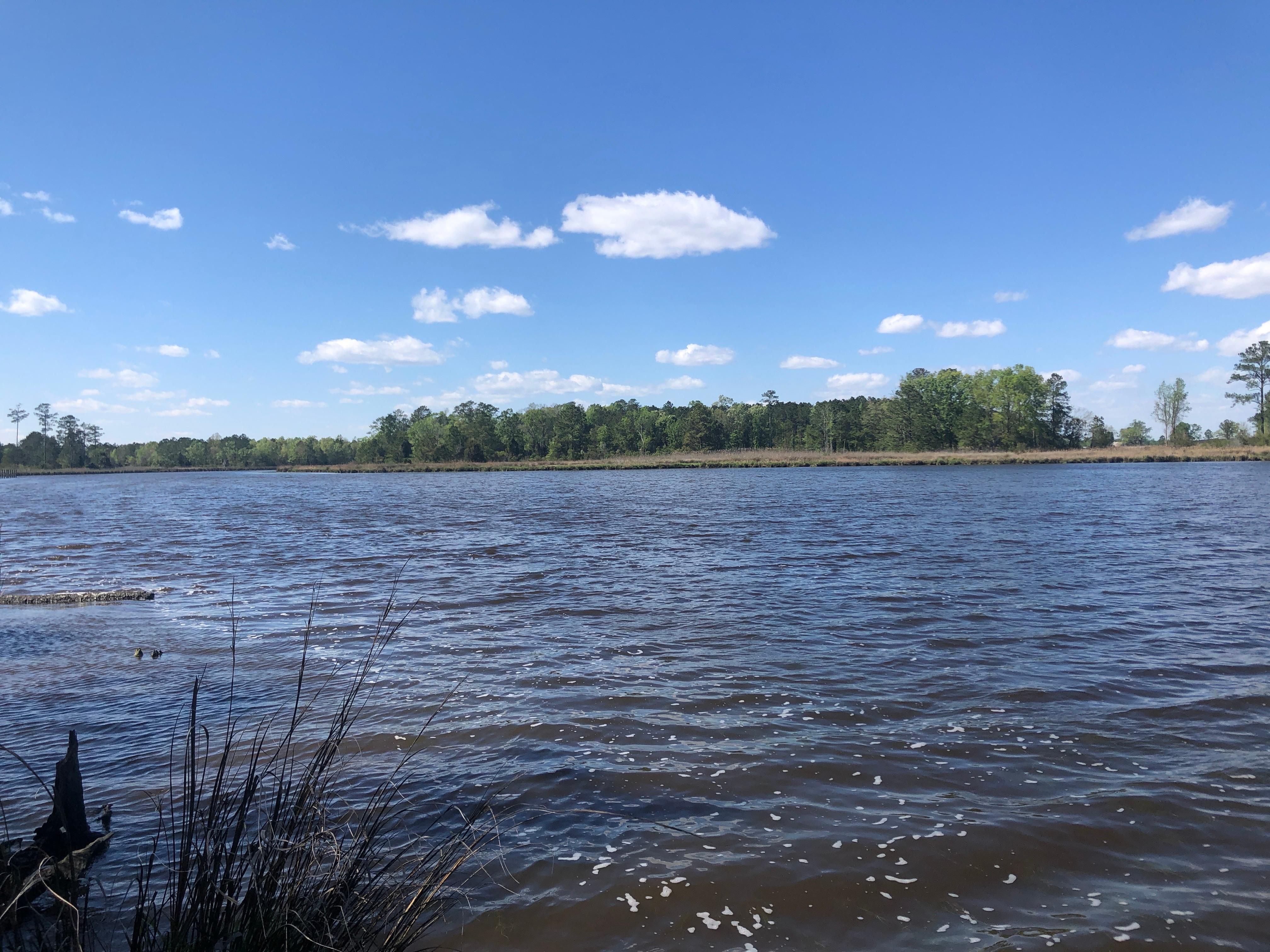 1.7 Acres, 0 Ashton Drive, Bath, NC 27808 Land and Farm