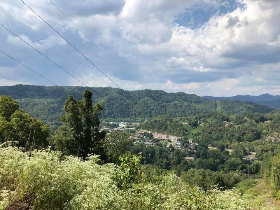 65 Acres, 1 Coal Hollow Road, Pikeville, KY 41501 Land and Farm