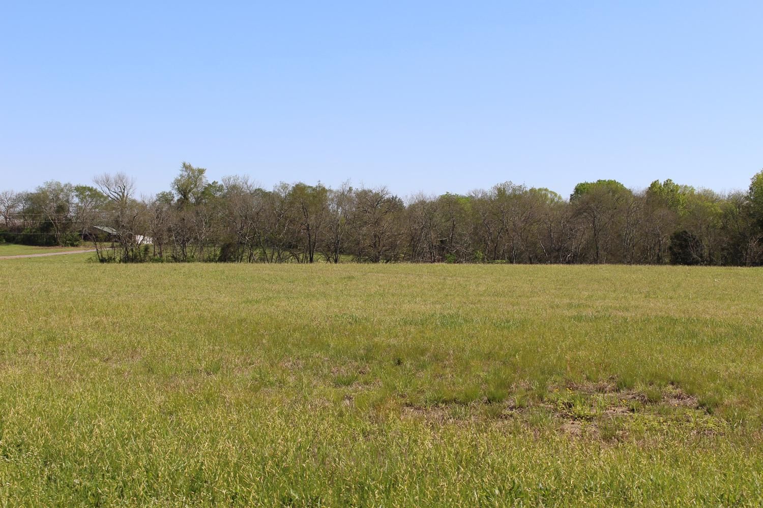 65 Acres, 3982 Overall Road, Lascassas, TN 37085 Land and Farm