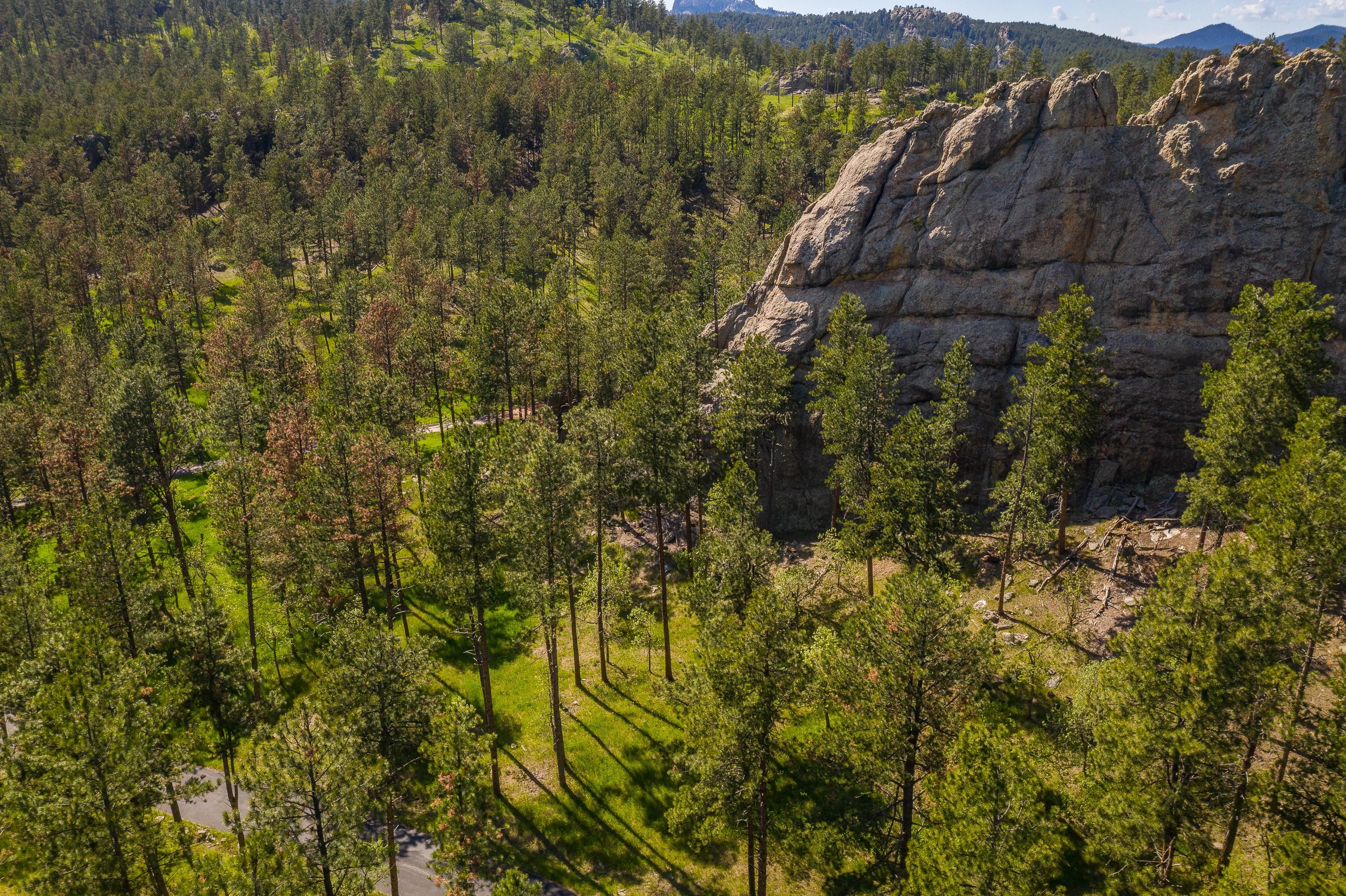 1 Acres, Keystone, SD 57751 Land and Farm