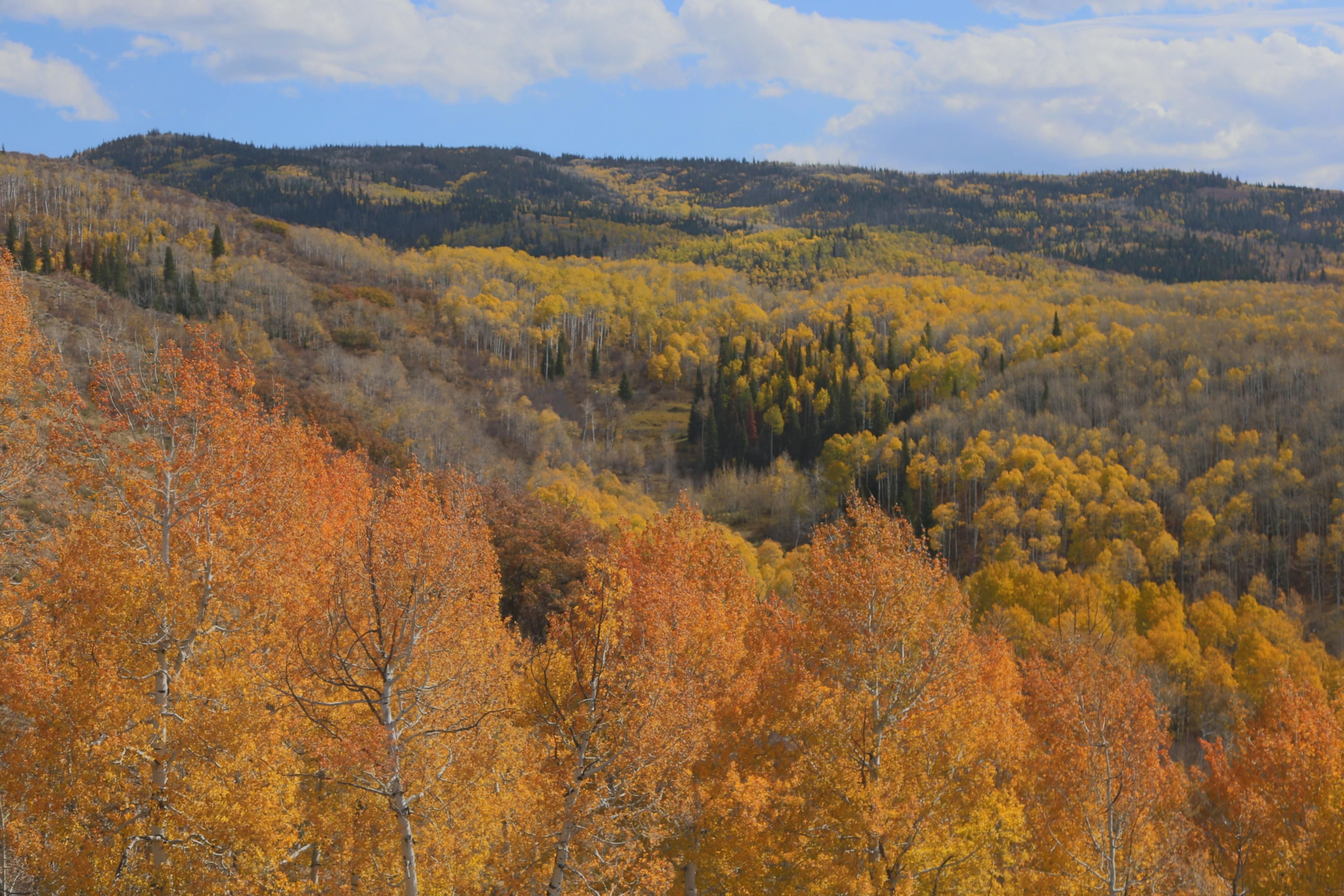 160 Acres, 0 Forest Service Road 551, Savery, WY 82332 Land and Farm