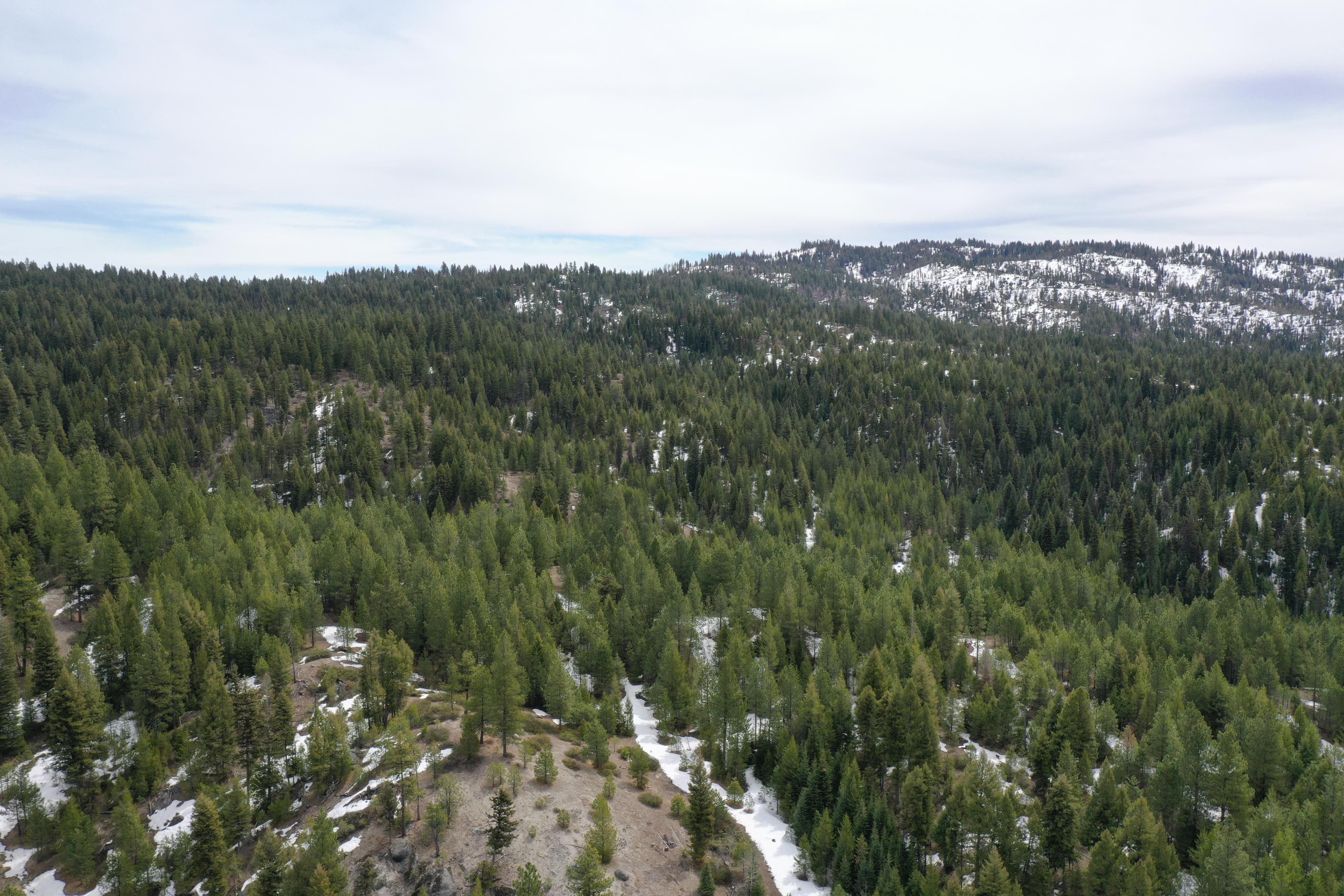 80 Acres, Cascade, ID 83611 Land and Farm