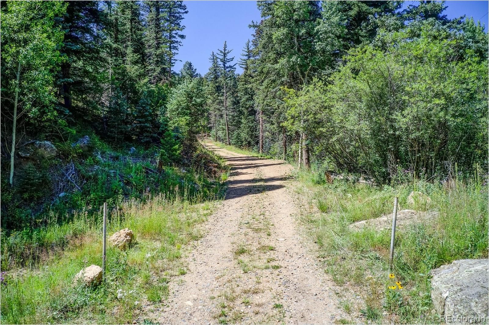 6.42 Acres, 2965 Witter Gulch Road, Evergreen, CO 80439 Land and Farm