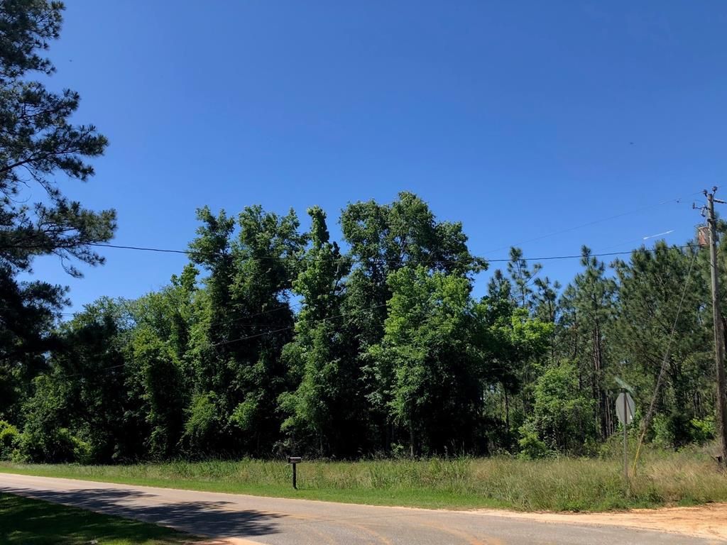 65 Acres, 00 Hutchinson Ferry Rd., Bainbridge, GA 39819 Land and Farm