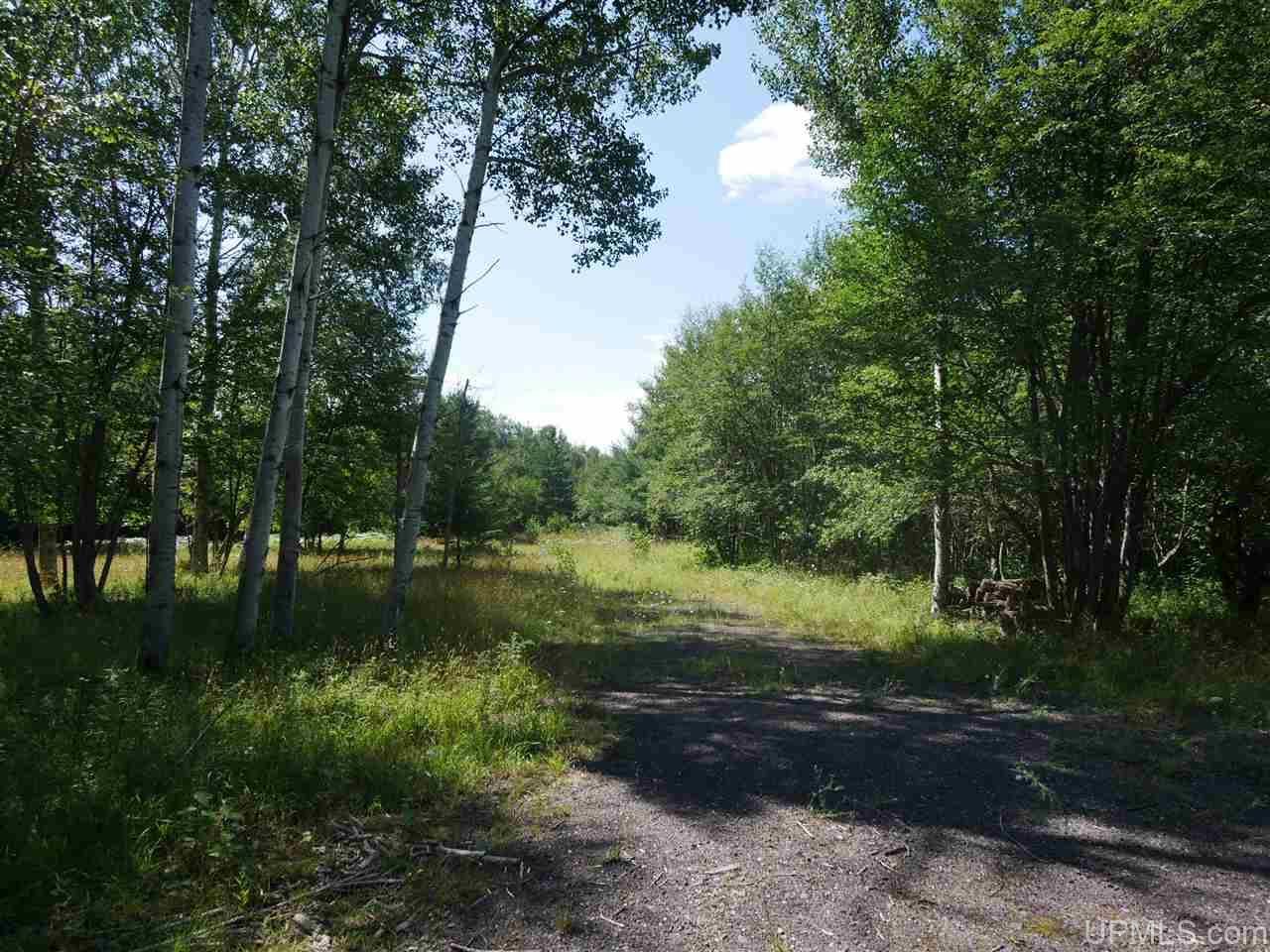 56917 Koskela, Calumet, MI 49913 MLS 1120111 Land and Farm