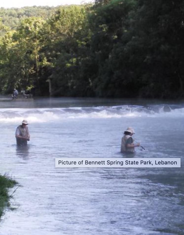 Moon Valley Road, Lot WP005, Springs, MO 65536 Land and Farm