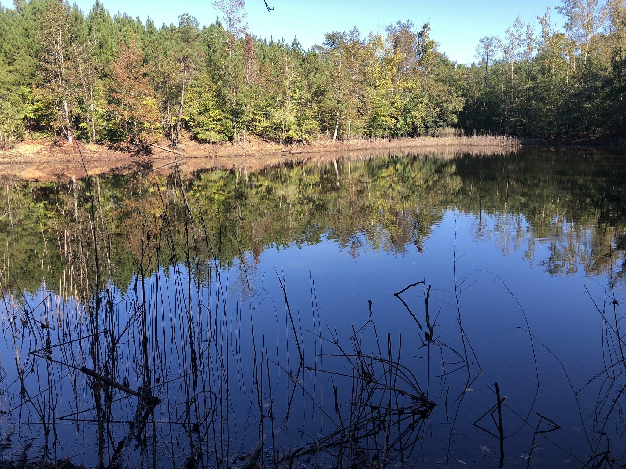 120 Acres, Mount Gilead, NC Land and Farm