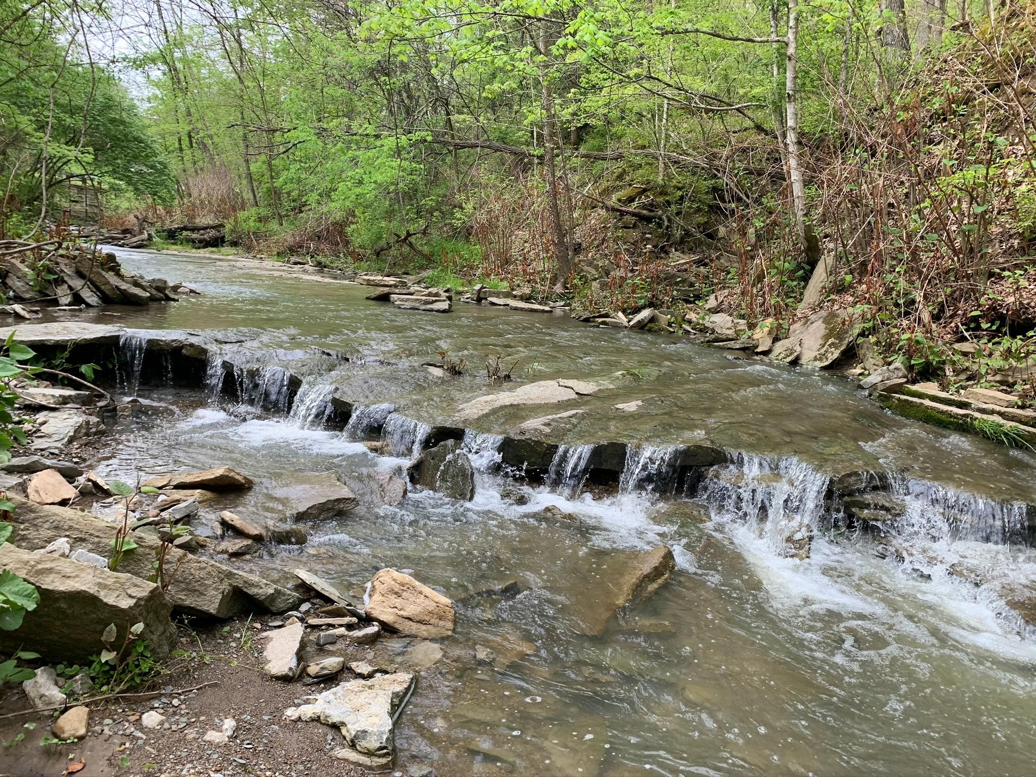 20 Acres, Felicity Cedron Rural Rd, Felicity, OH 45120 Land and Farm