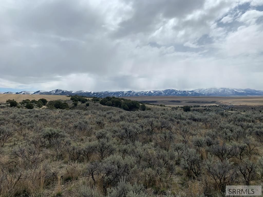 40 Acres, Tbd Rockland Hwy, Rockland, ID 83271 Land and Farm