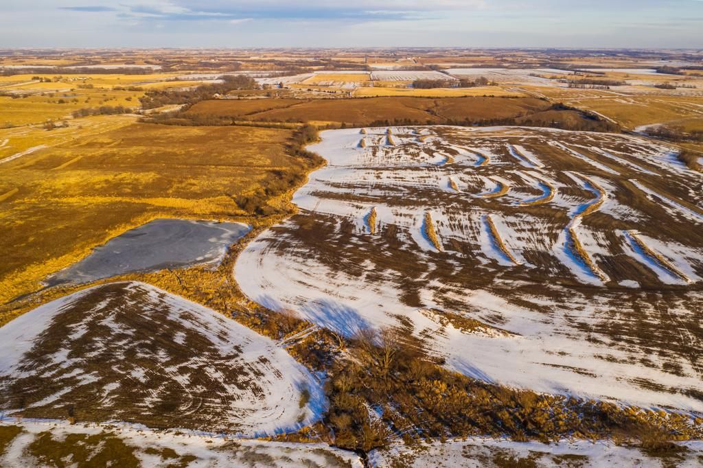 160 Acres, 220th St., Clearfield, IA 50840 Land and Farm