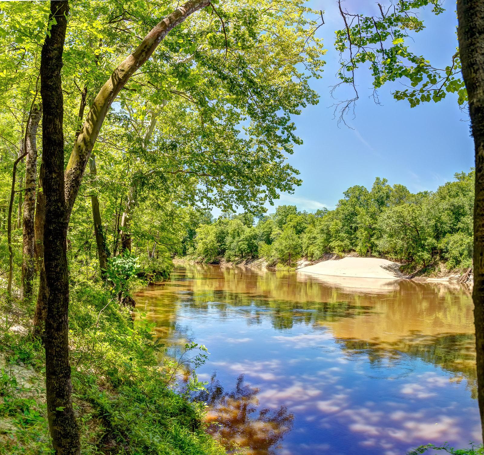 39 Acres, Brewton, AL 36427 Land and Farm