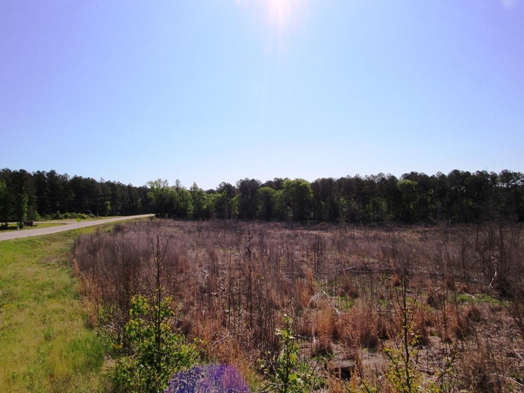 46 Acres, Elberton Highway, Lincolnton, GA 30817 Land and Farm