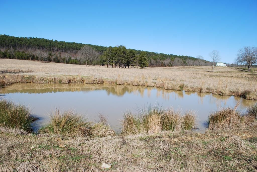 40 Acres, 10710 White Ln., Belleville, AR 72824 Land and Farm
