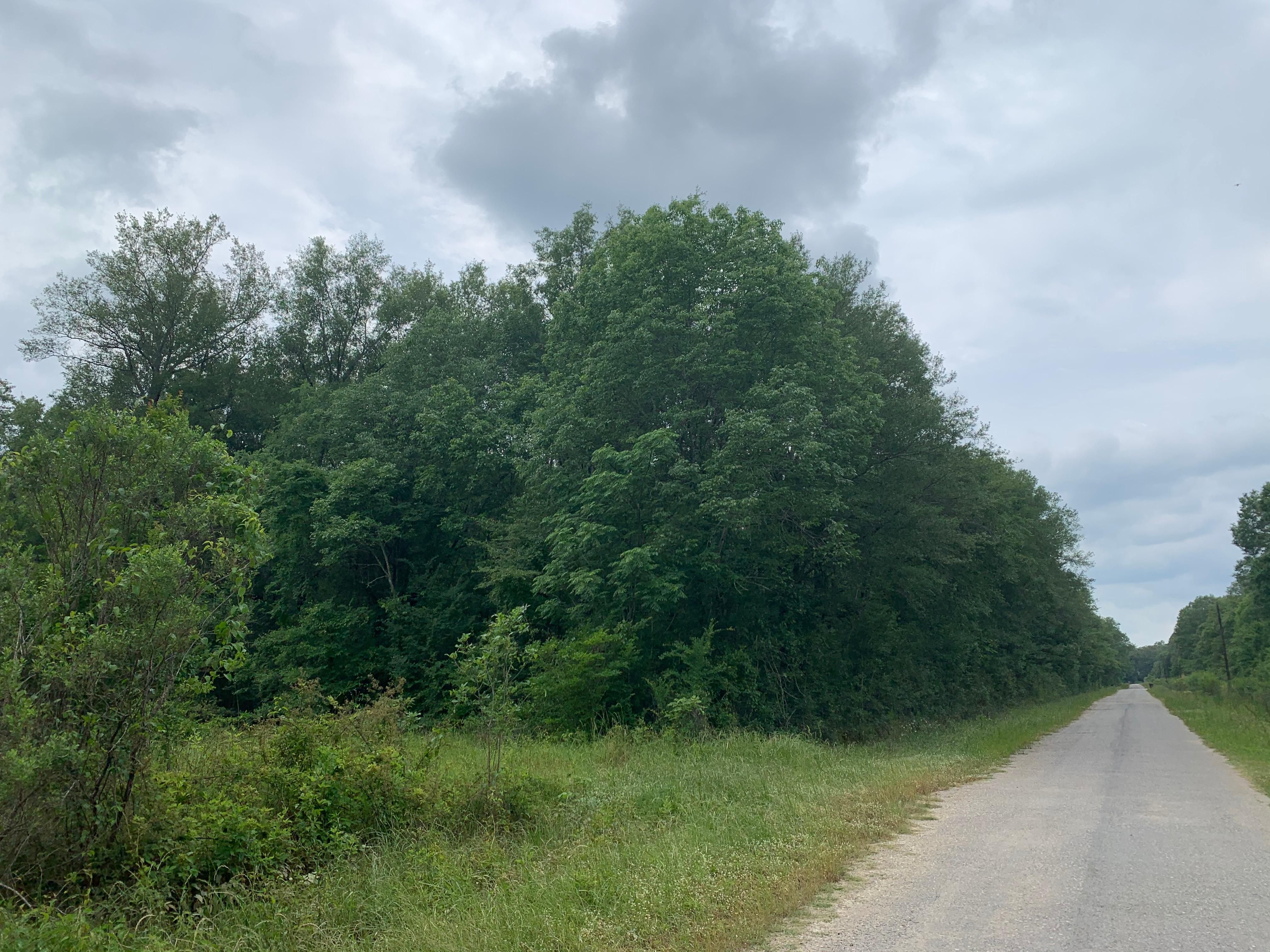 10 Acres, Winnsboro, LA 71295 Land and Farm