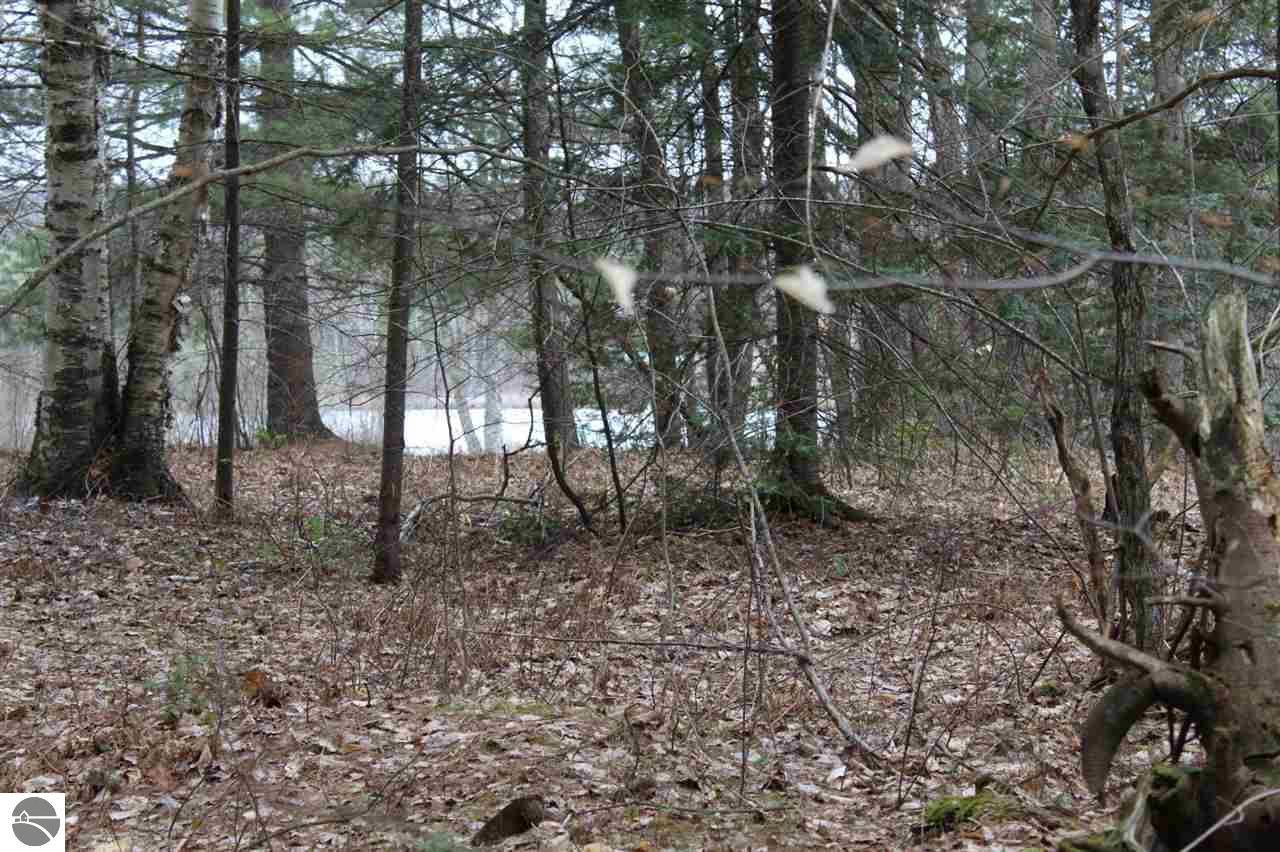 4.5 Acres, VL May Lake Road, Frederic, MI 49733 Land and Farm