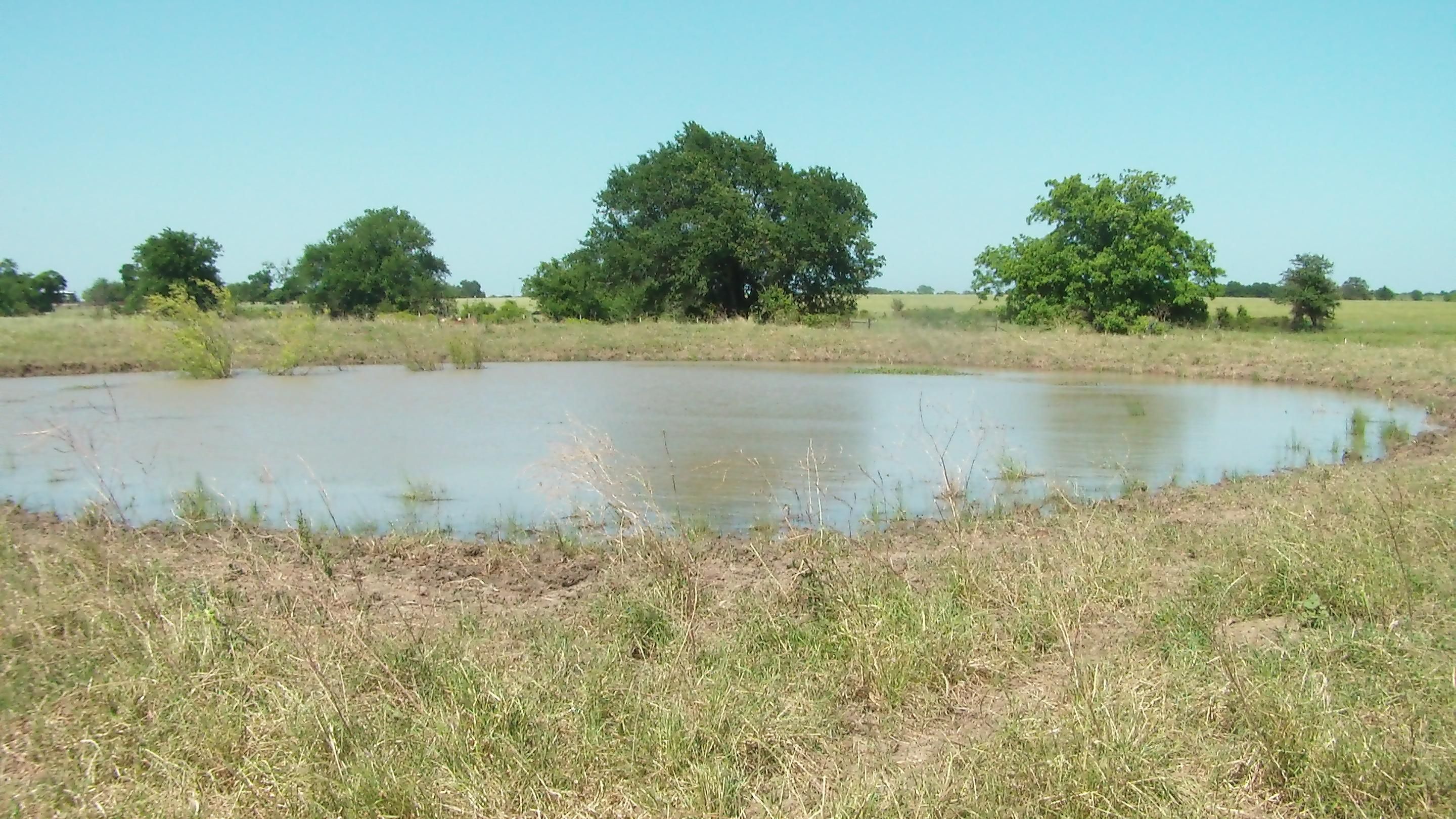 28 Acres, FM 2413, Reagan, TX 76680 Land and Farm