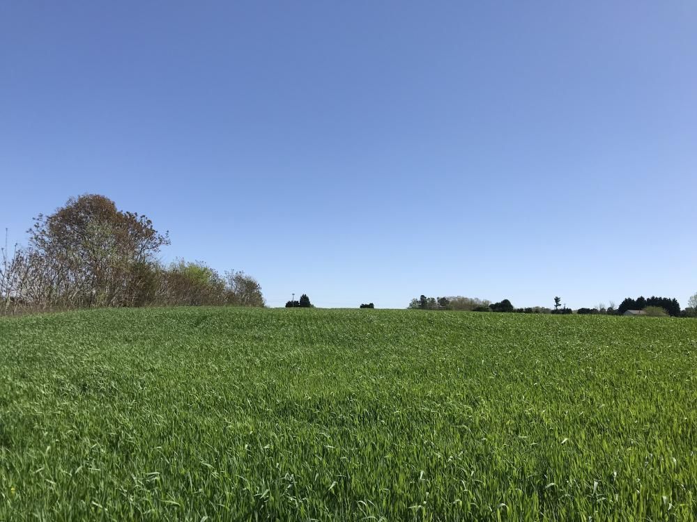 11.11 Acres, 4629 Plateau Rd Vale NC 28168, Vale, NC 28168 Land and Farm