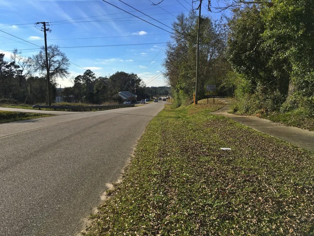 2 Acres, 0 Highway 43, Grove Hill, AL 36451 Land and Farm