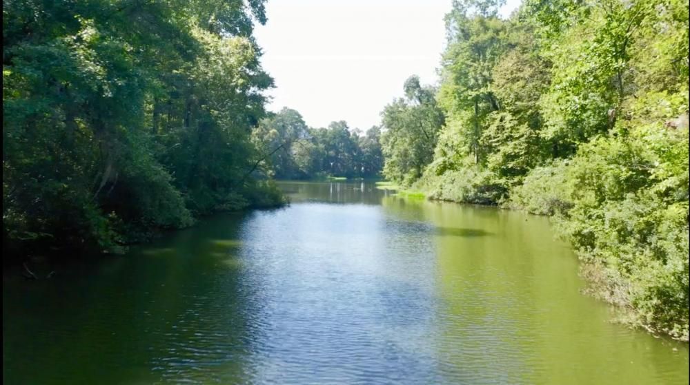 1.3 Acres, 0 Legacy Shores, Alberta, AL 36720 Land and Farm